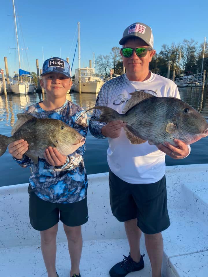 Two grey triggerfish caught in Pensacola