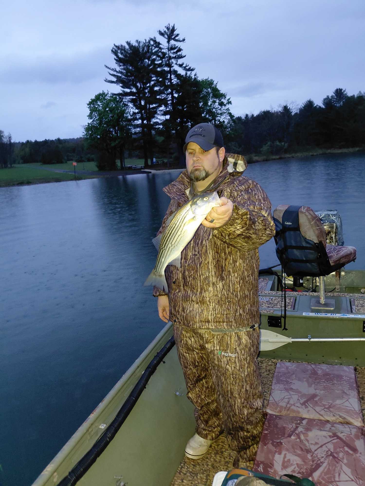Striped bass caught while fishing on boat at Forest Inn PA