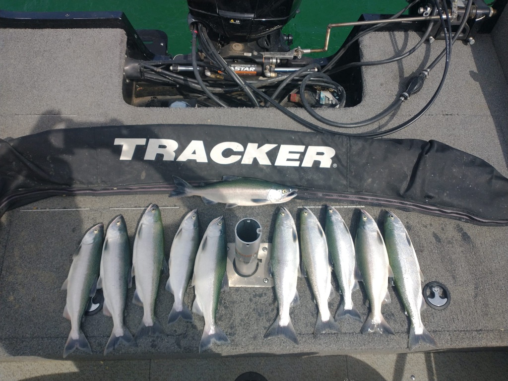 8 fish caught while fishing in WY