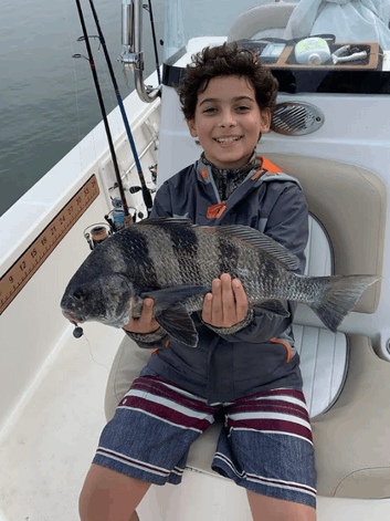 One black drum fish caught while fishing in Wilmington