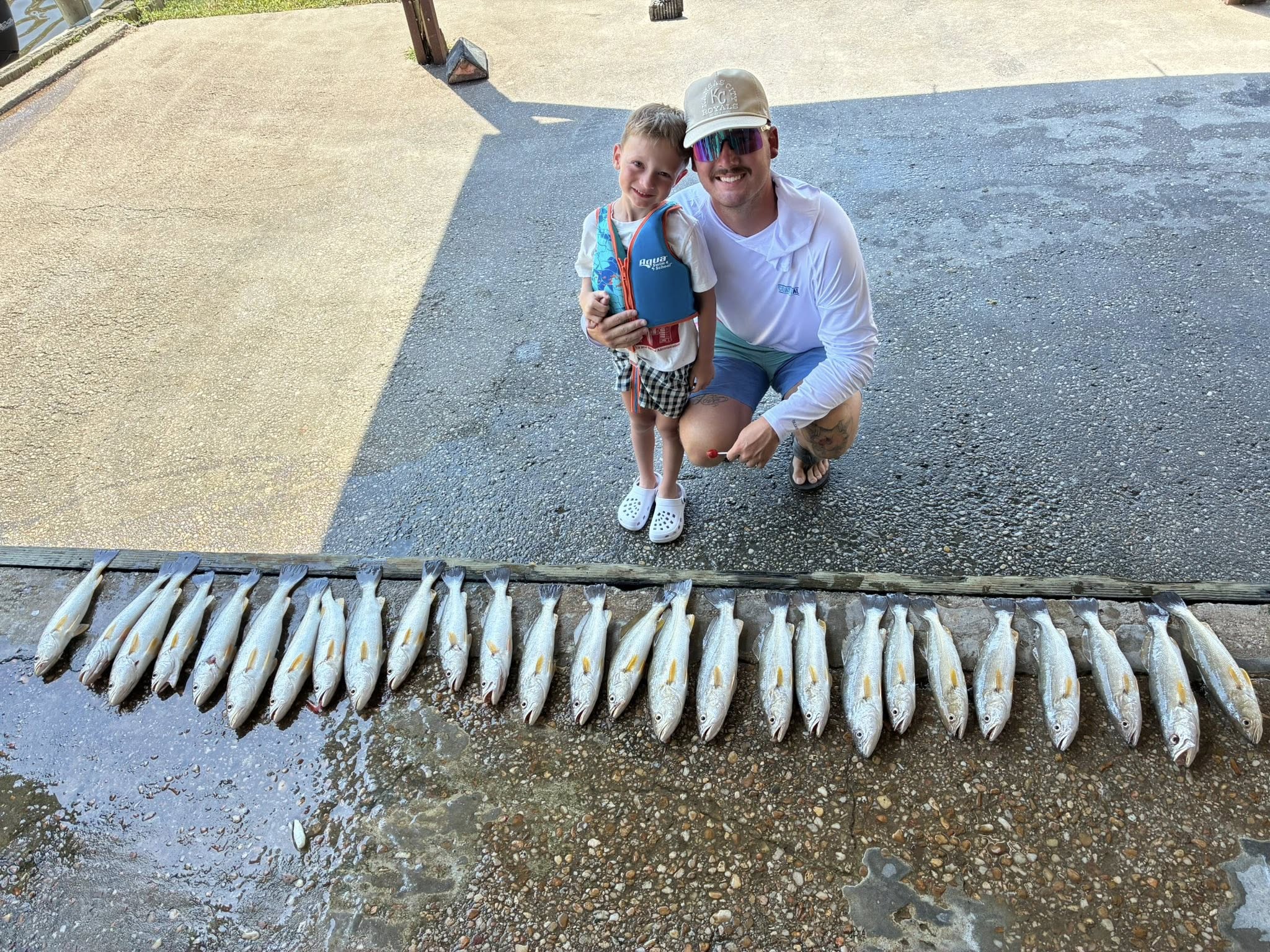 Three bluefish caught in Gulf Shores, Alabama