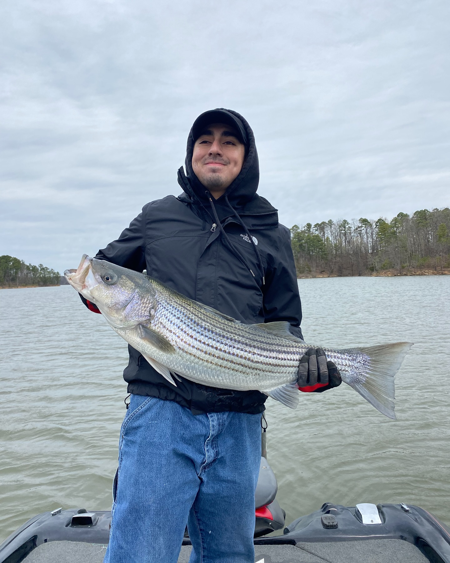 Striped bass fishing in Mount Ida