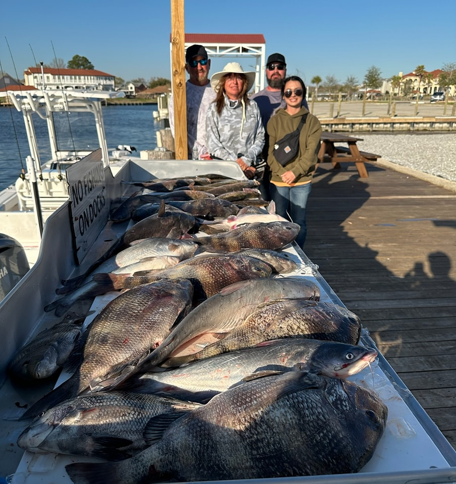 2 black drum fish caught in LA