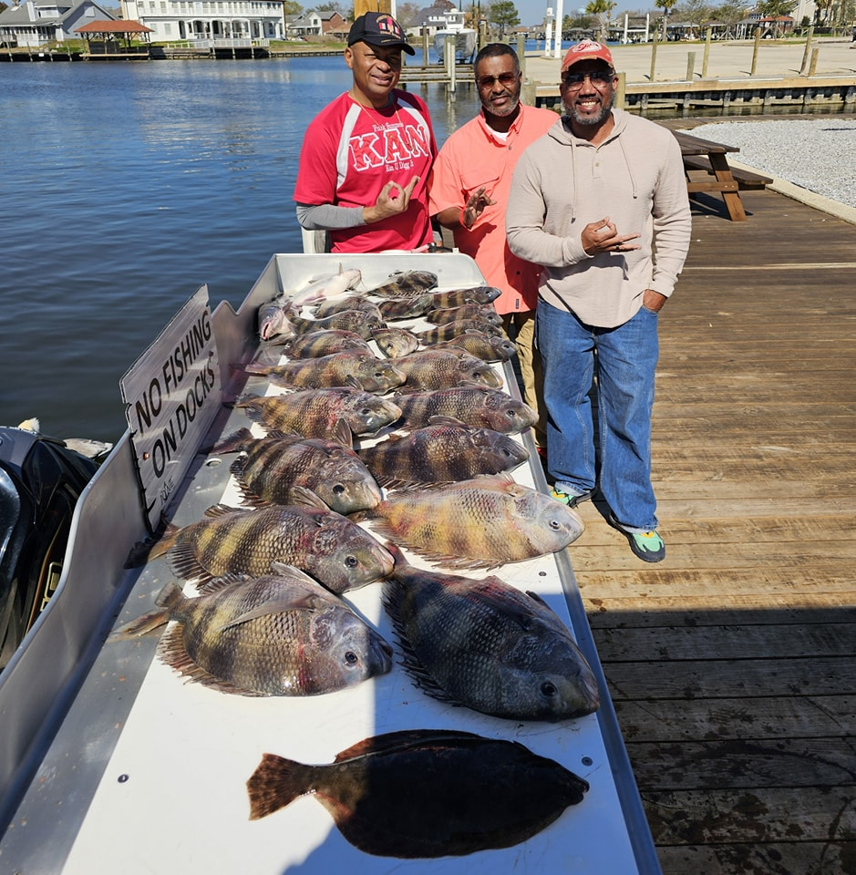5 sheepshead fish caught in Slidell