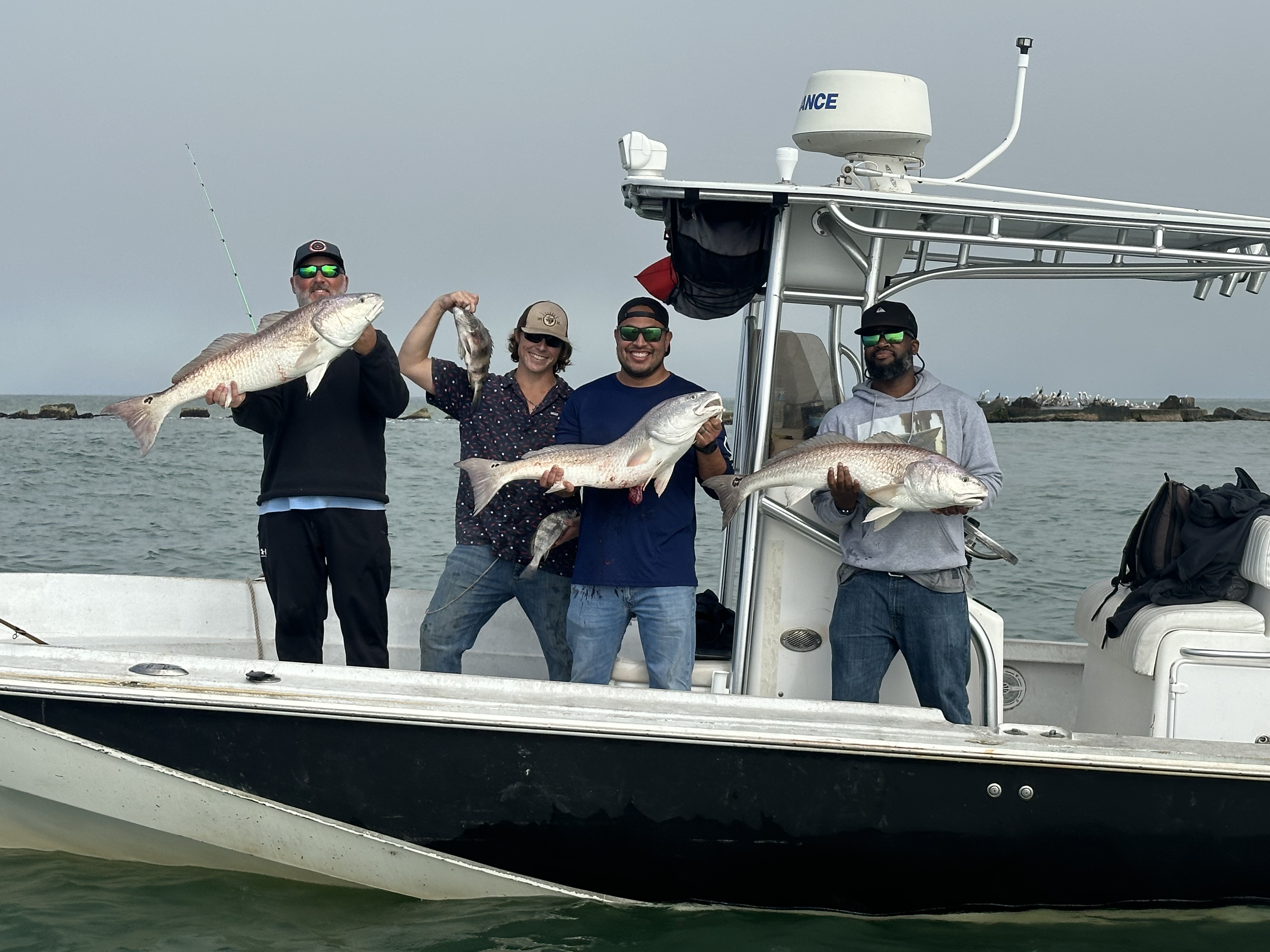 Three redfish caught in TX