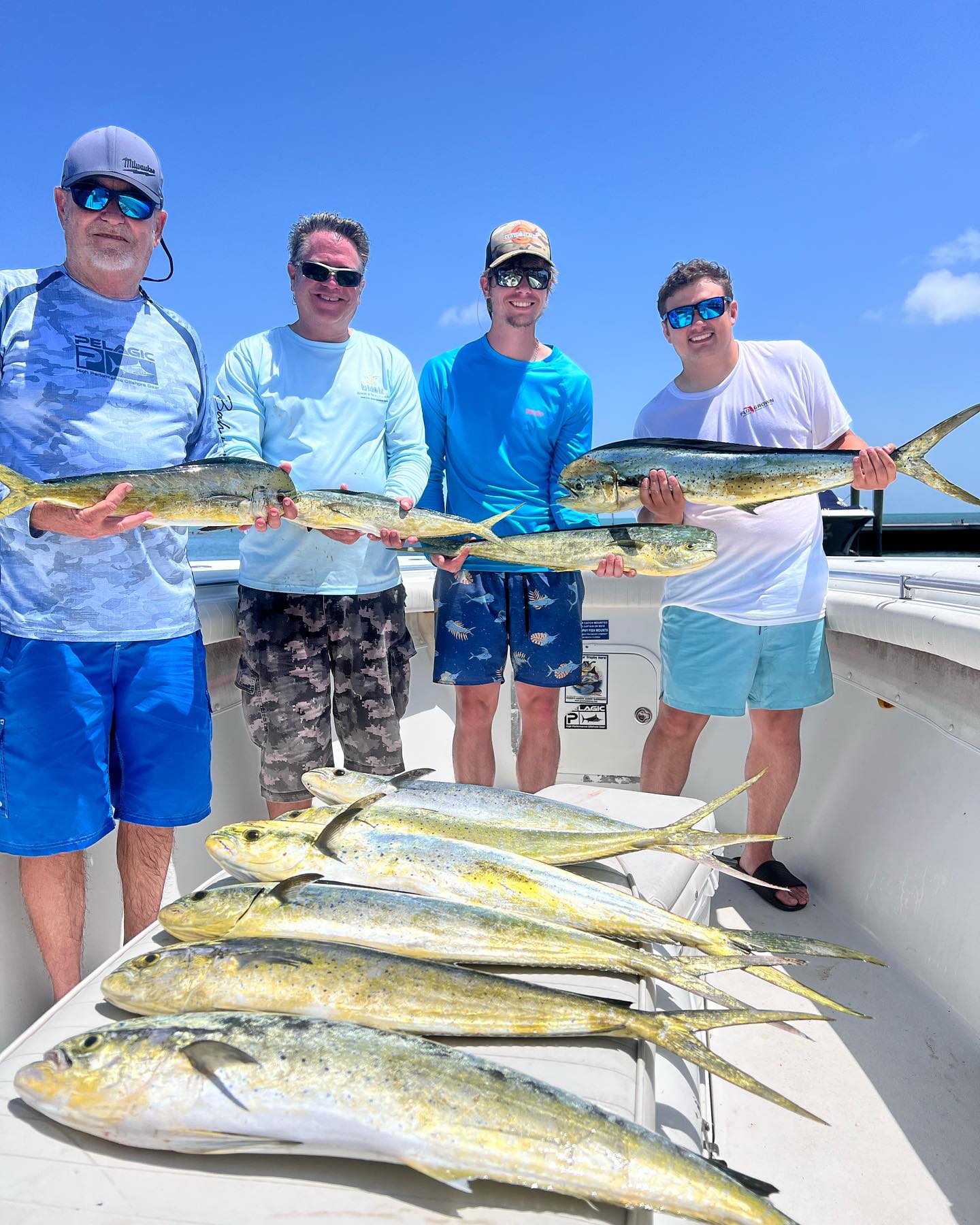 Three mahi mahi fish caught by four people in Marathon, Florida