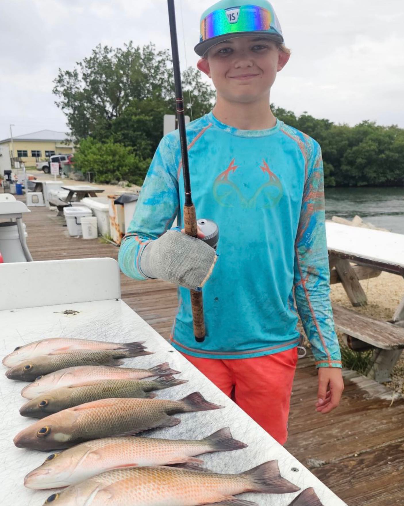 Three grey snapper fish caught during fishing in Marathon, Florida