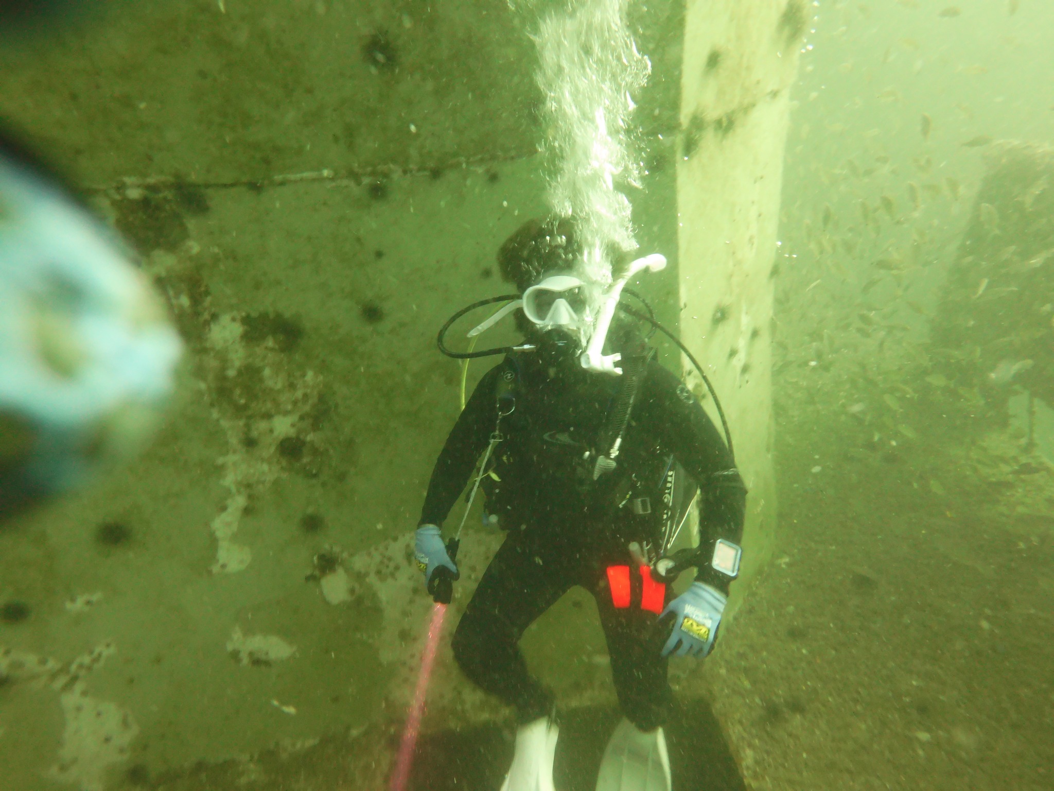 Two-tank inshore Gulf scuba diving boat trip from Shalimar Florida exploring reefs and ledges
