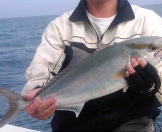 Fishing in FL