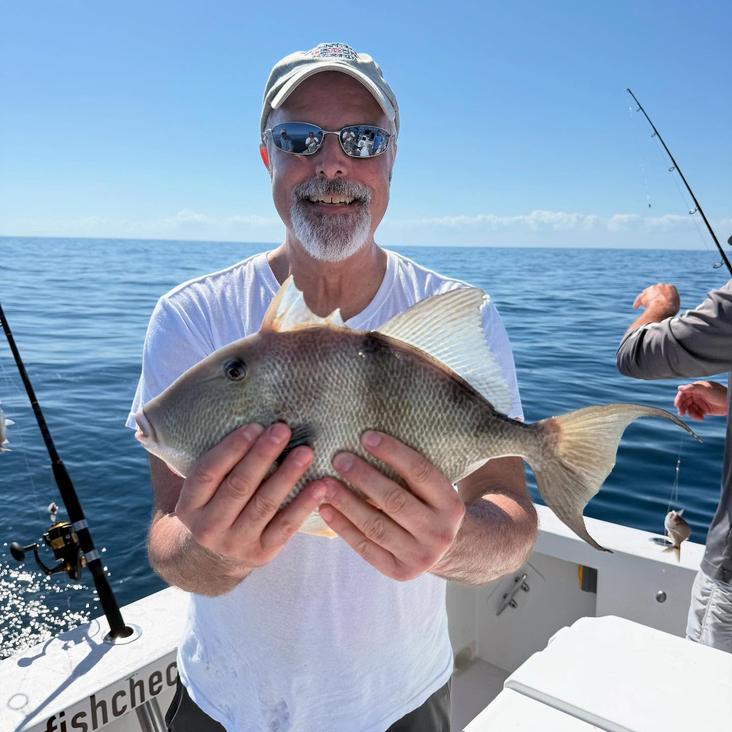 Photograph of a grey triggerfish caught while fishing in Port Canaveral
