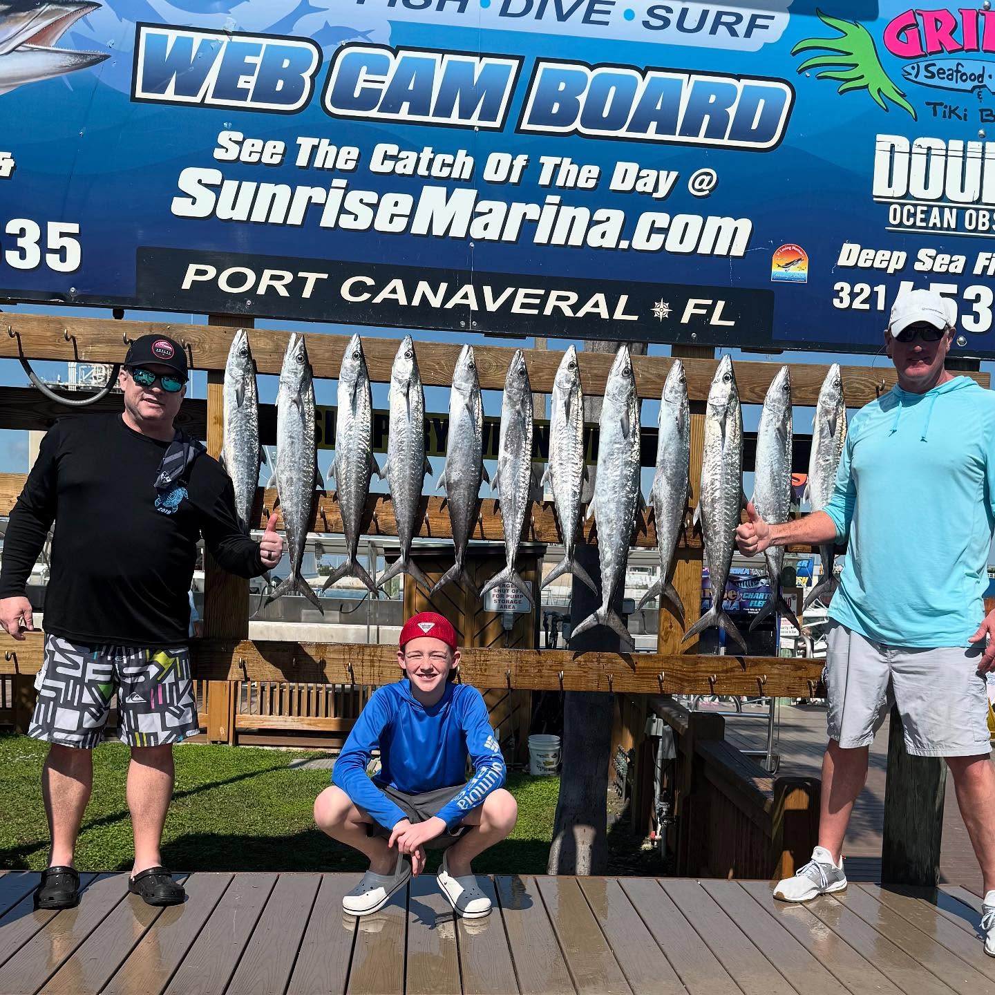 11 King Mackerel fish caught at Port Canaveral