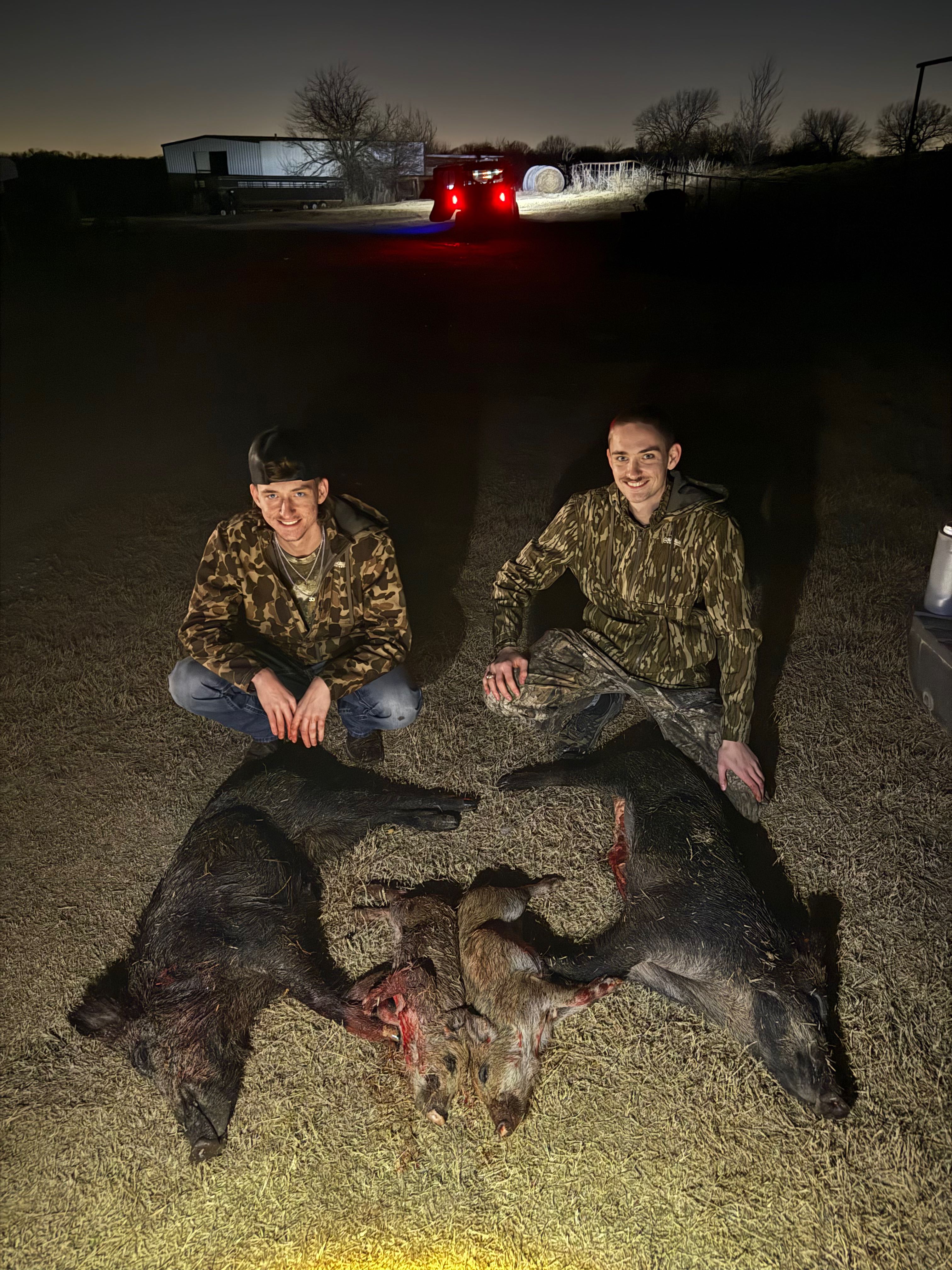 Wild hogs harvested during hunting expedition in Forney TX
