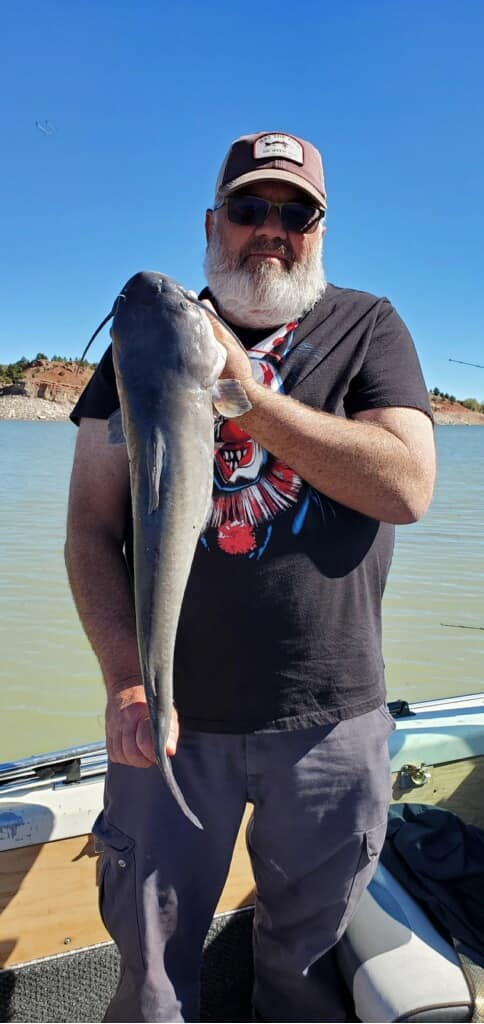 Hardhead Sea Catfish caught while fishing in Douglas