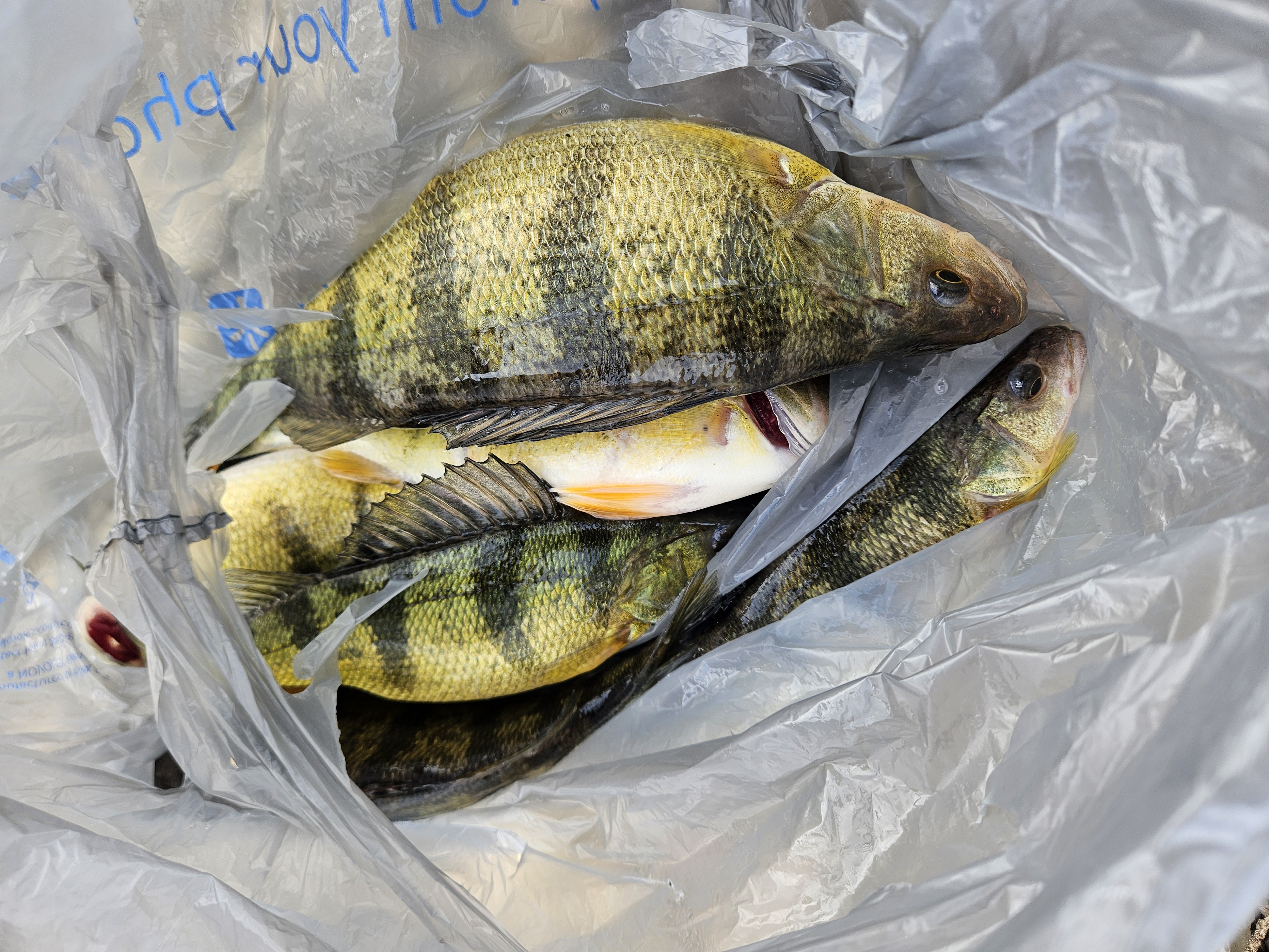 A fishing trip in PA