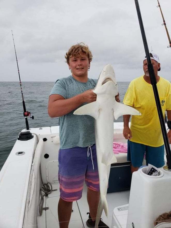 Atlantic Sharpnose Shark, a 36-inch catch in Orange Park