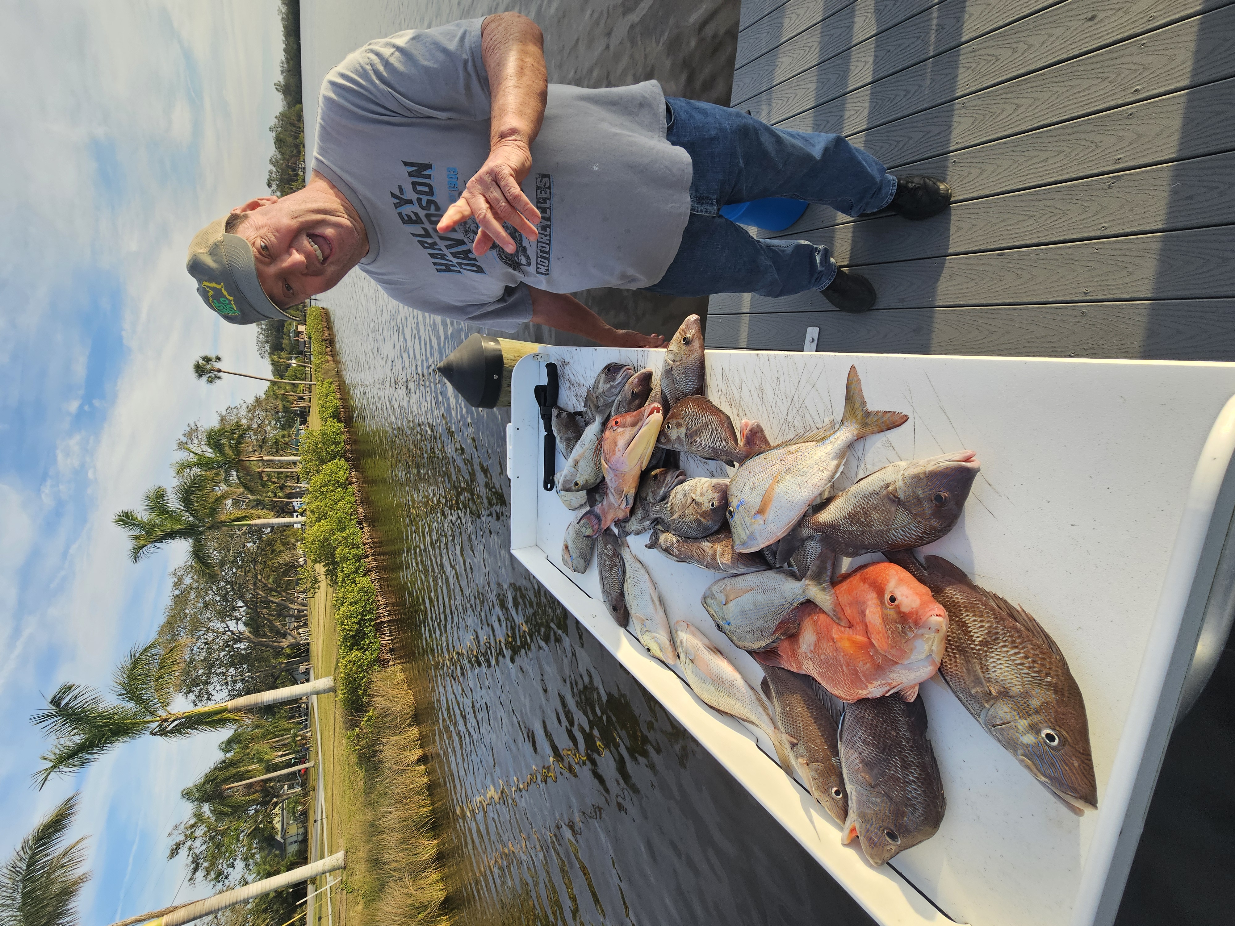 Two white grunt fish caught in Ruskin
