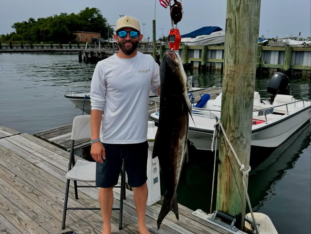 Cobia fishing in NY