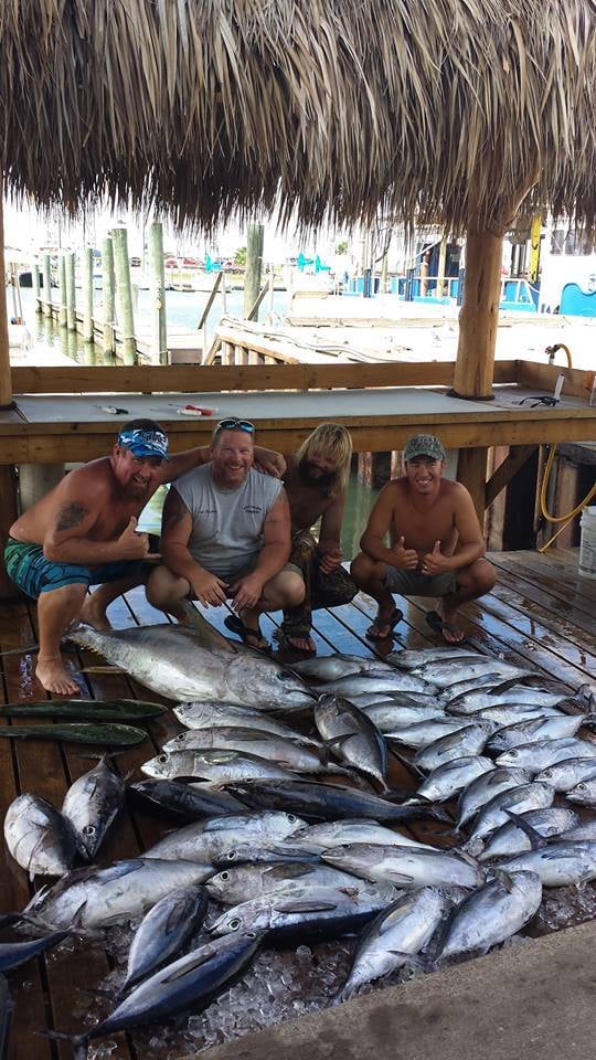 Two great barracuda and yellowfin tuna fish caught in TX