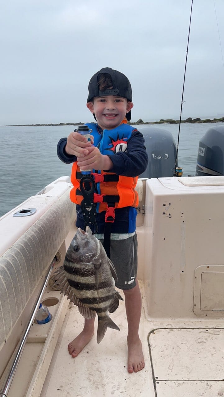 Sheepshead fish caught while fishing in TX