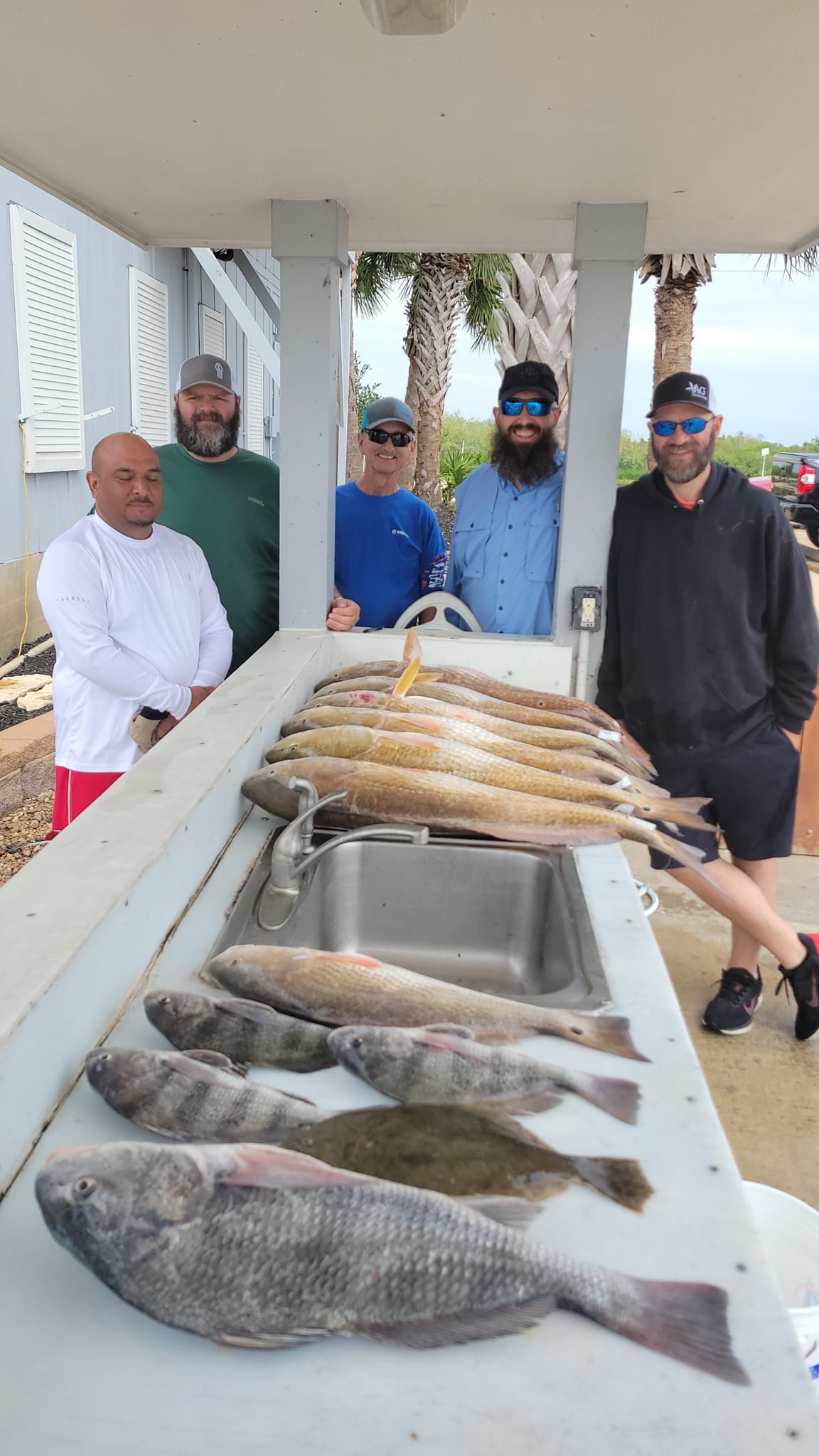 Three black drum fish caught in Hitchcock