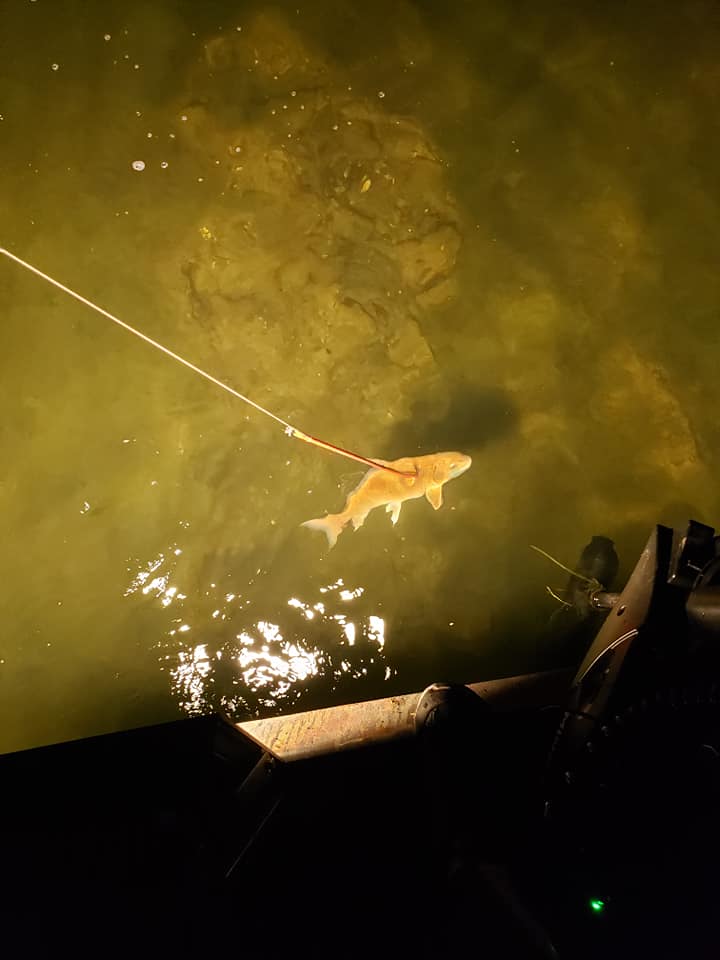 Fishing in PA