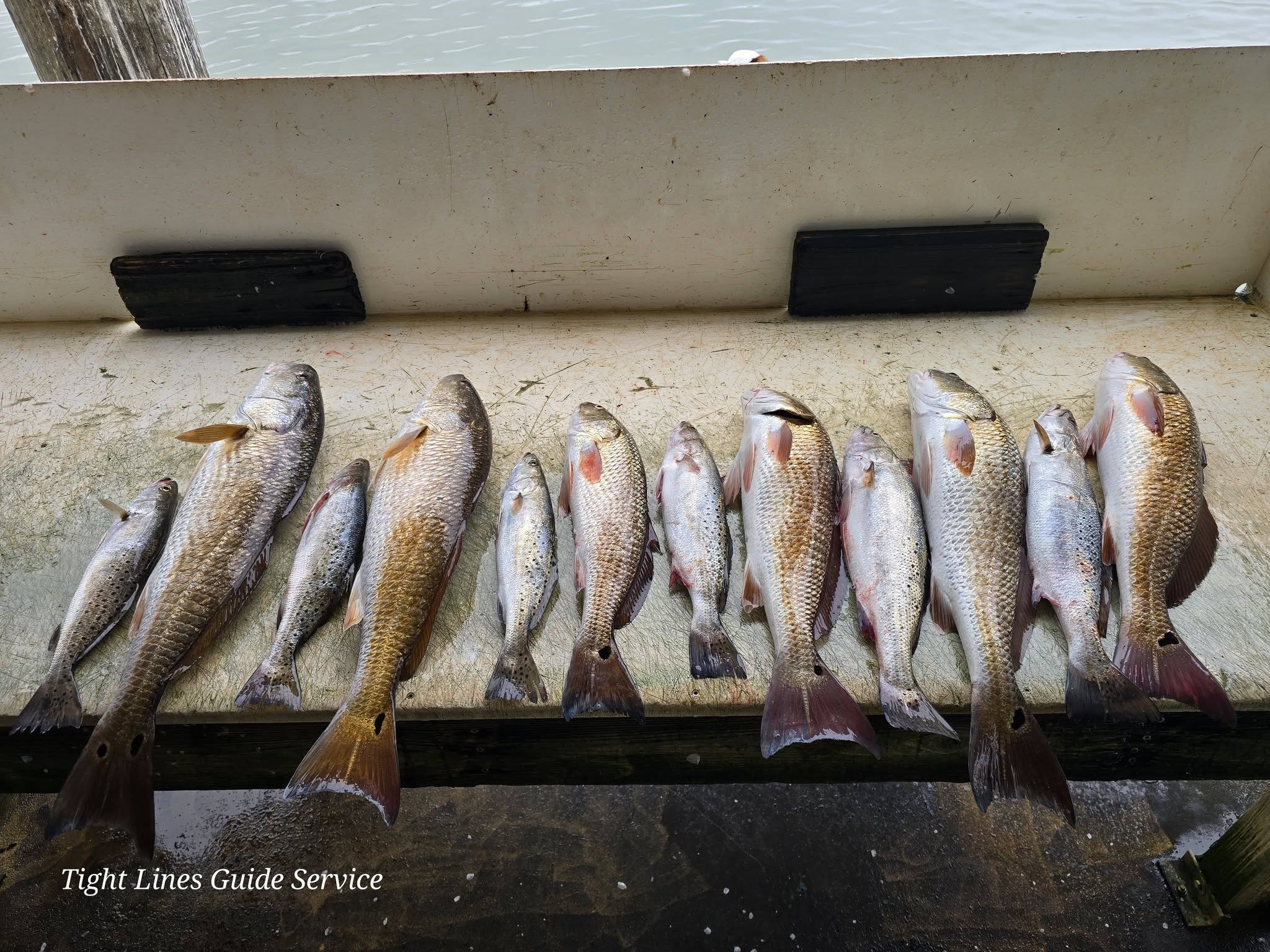 Fresh caught redfish and speckled trout displayed on boat deck at Point Comfort TX
