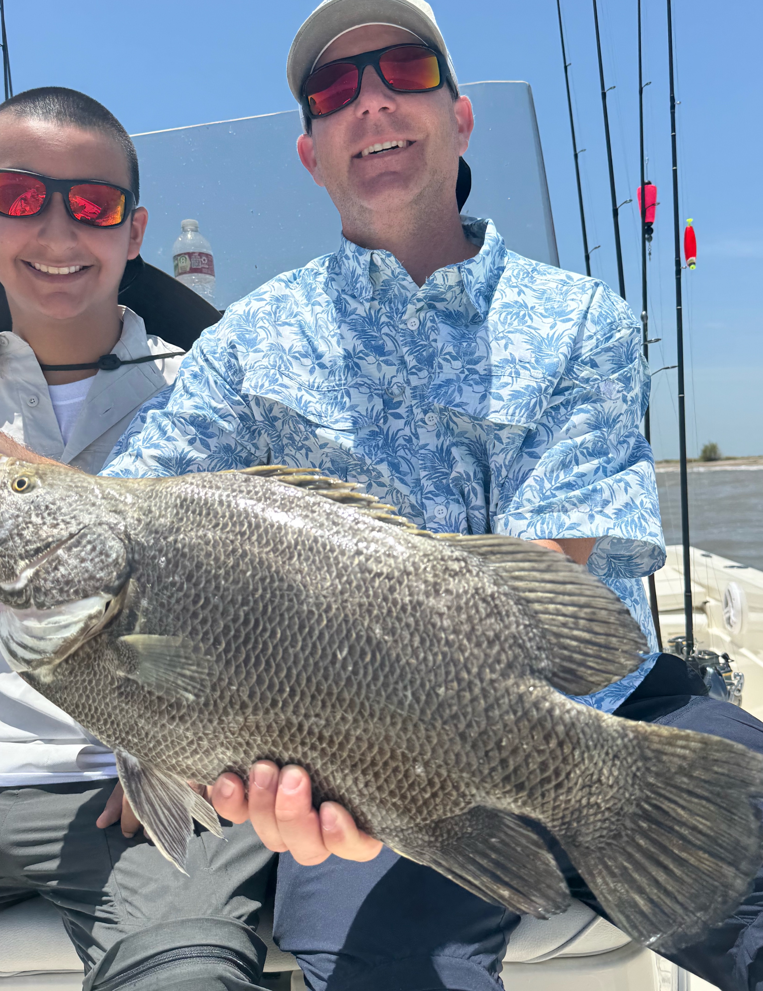 Tripletail fish catch on fishing boat in Port Arthur TX