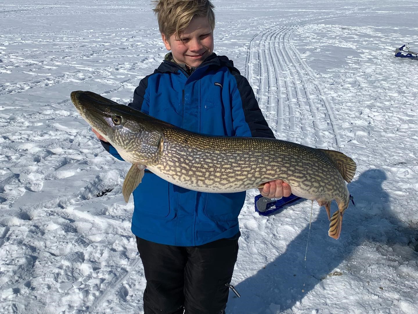 Huge northern pike caught in WI