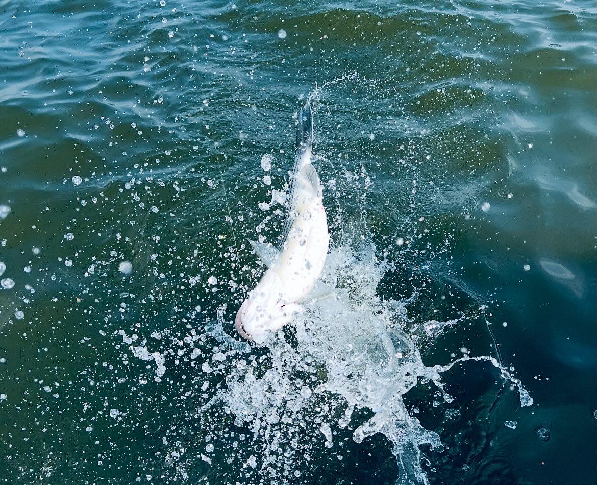 Fishing in Texas