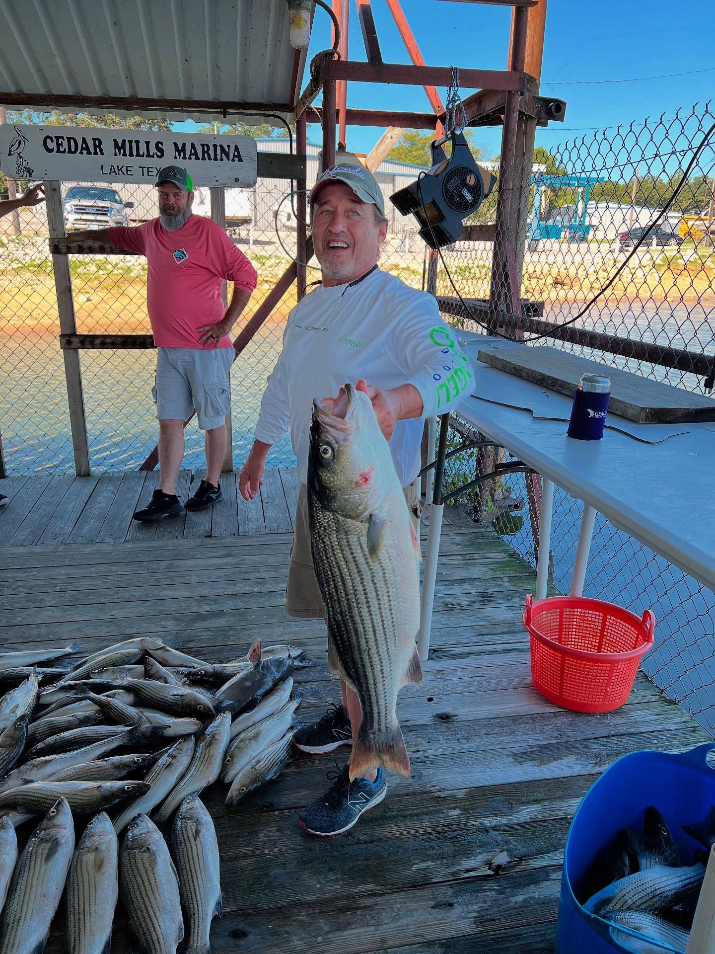 Striped bass caught while fishing in TX