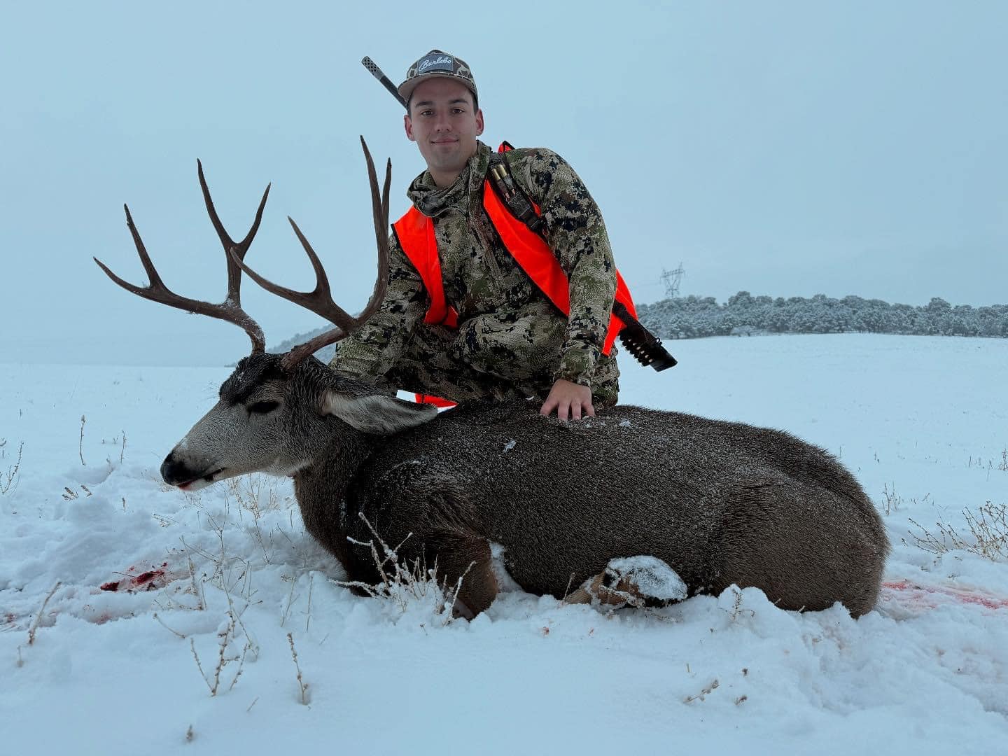 Thrilling hunting expedition in CO