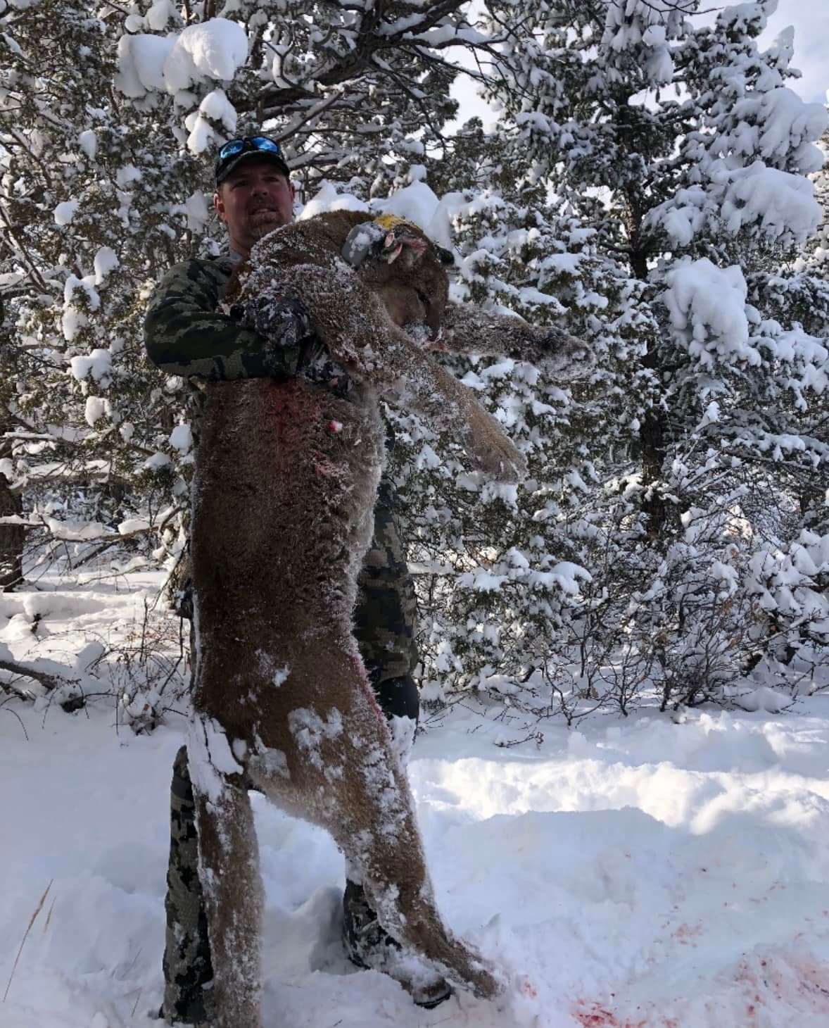 Adventurous hunting expedition in CO