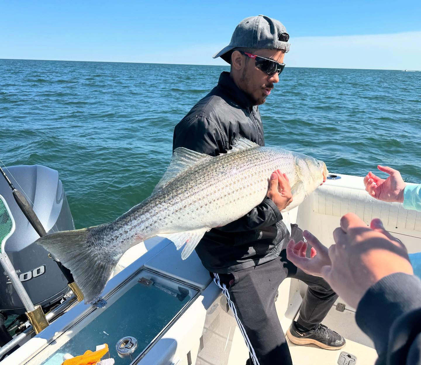 Large striped bass caught fishing in Point Pleasant Beach NJ waters