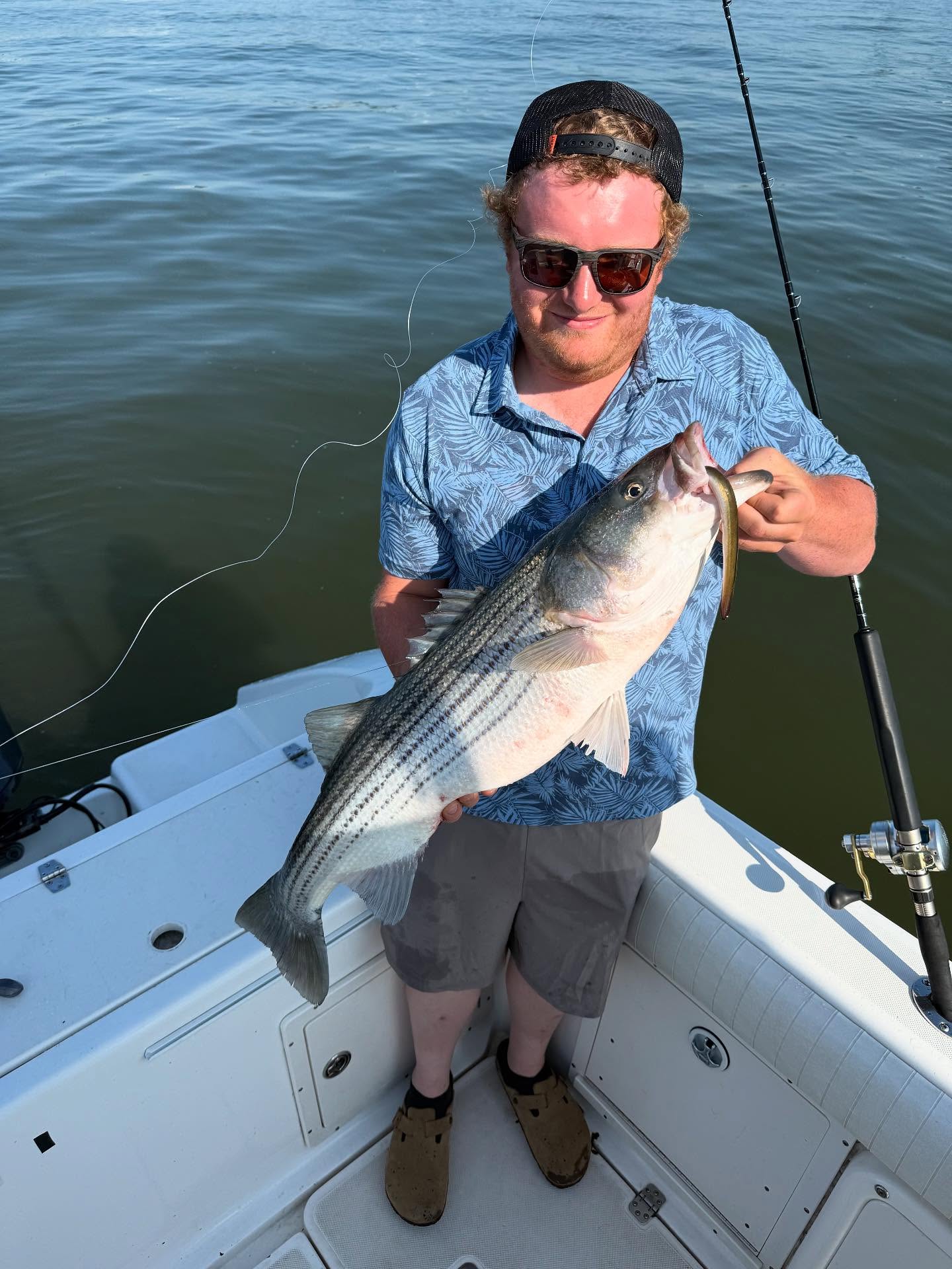 Striped bass caught fishing on boat at Point Pleasant Beach NJ