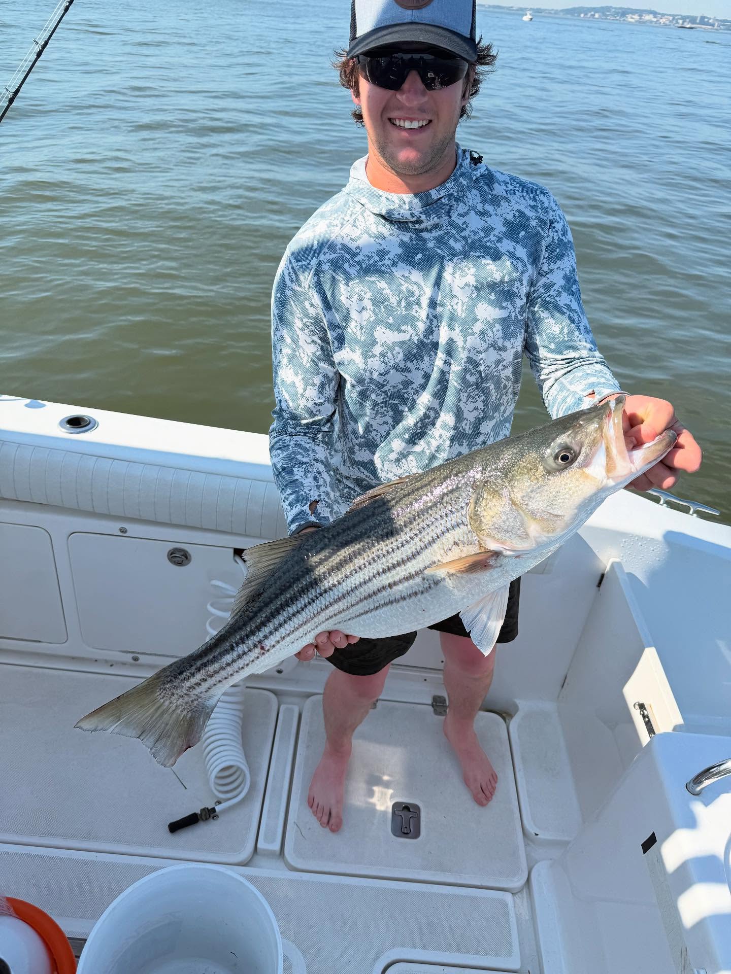 Striped bass catch on fishing boat in Point Pleasant Beach NJ waters