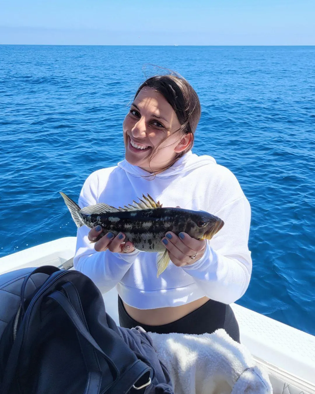 Kelp Bass caught while fishing in Huntington Beach