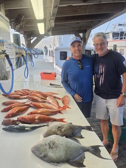 Fresh caught fish displayed on boat deck in Orange Beach AL including grey triggerfish and red snapper