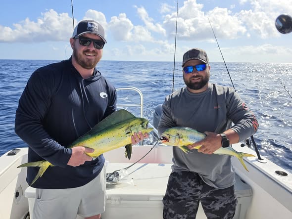Two anglers displaying freshly caught Mahi Mahi fish on fishing boat in Orange Beach AL waters