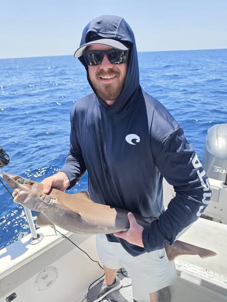 Shark catch displayed on fishing boat in Orange Beach AL