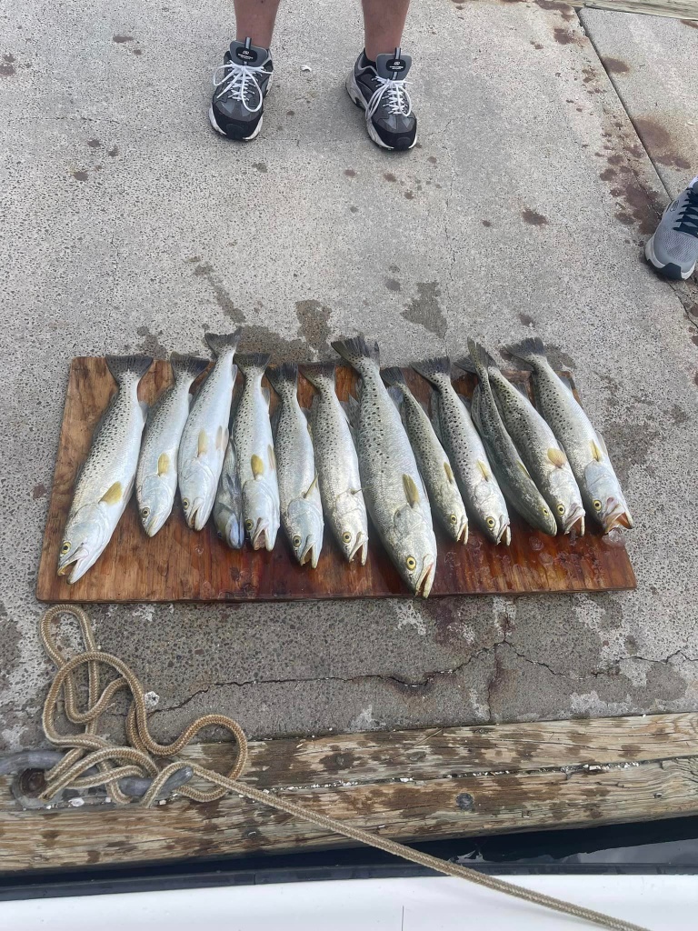 6 spotted weakfish caught in FL