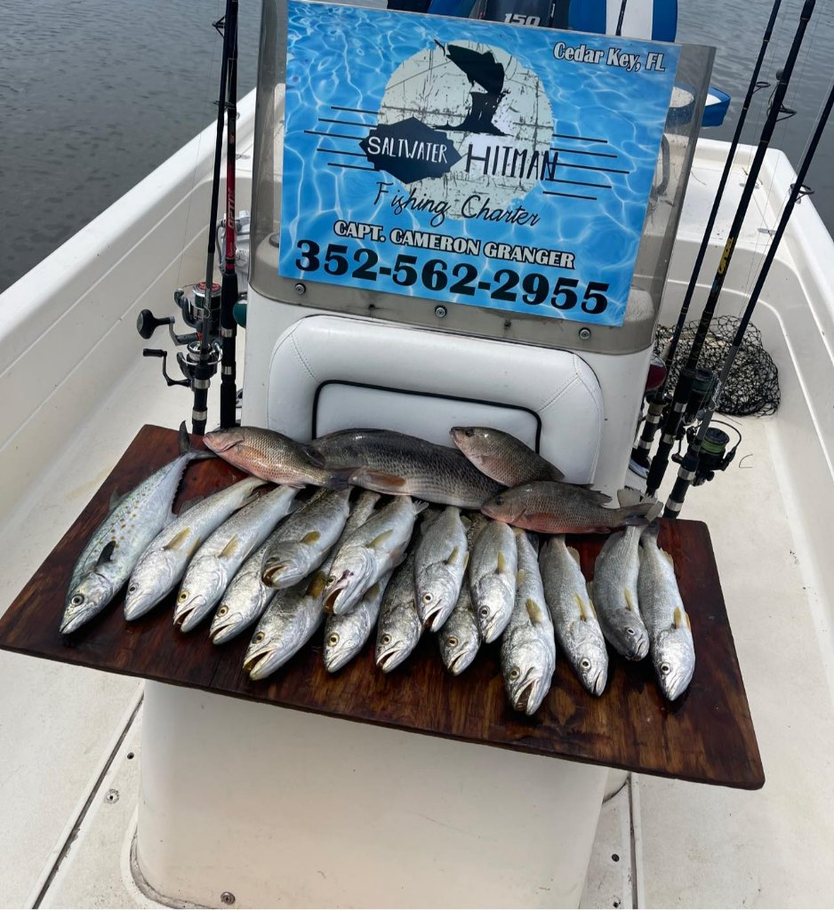 8 Spanish Mackerel, Coho Salmon, Bluefish, and Muskellunge fish caught in Cedar Key