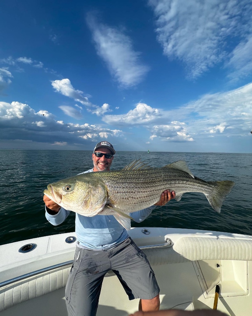 Striped bass caught while fishing in MA