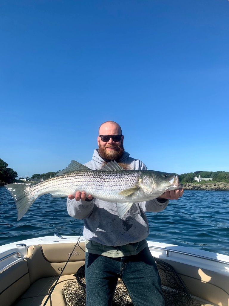 Striped bass fishing in MA