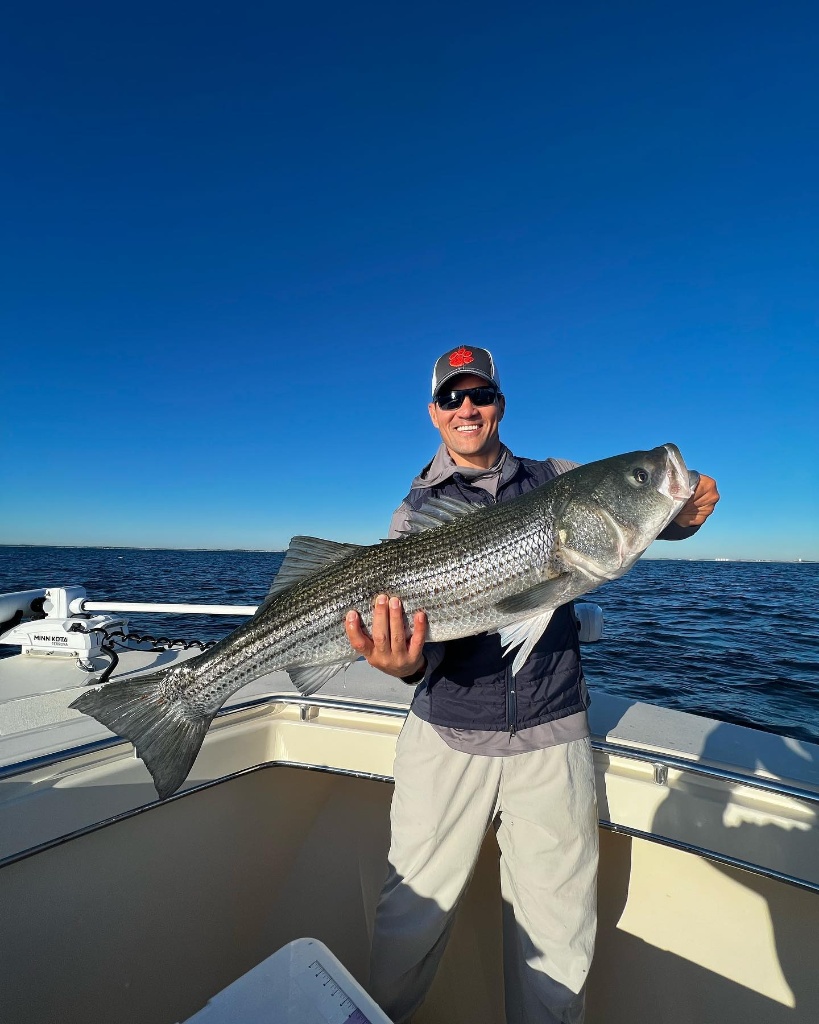Striped bass caught fishing in MA