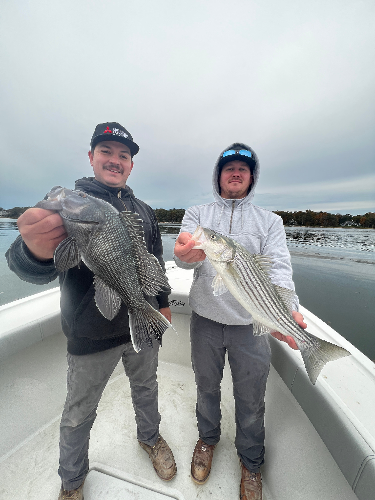 Two striped bass and sea bass caught fishing in East Boston