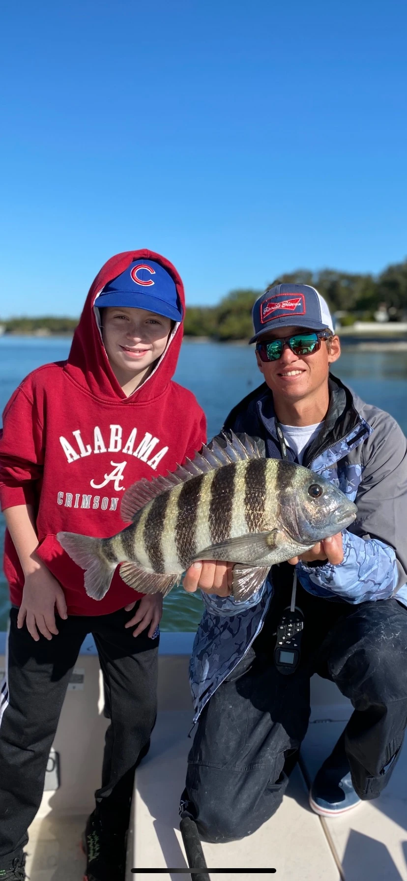 A sheepshead fish caught at Sarasota