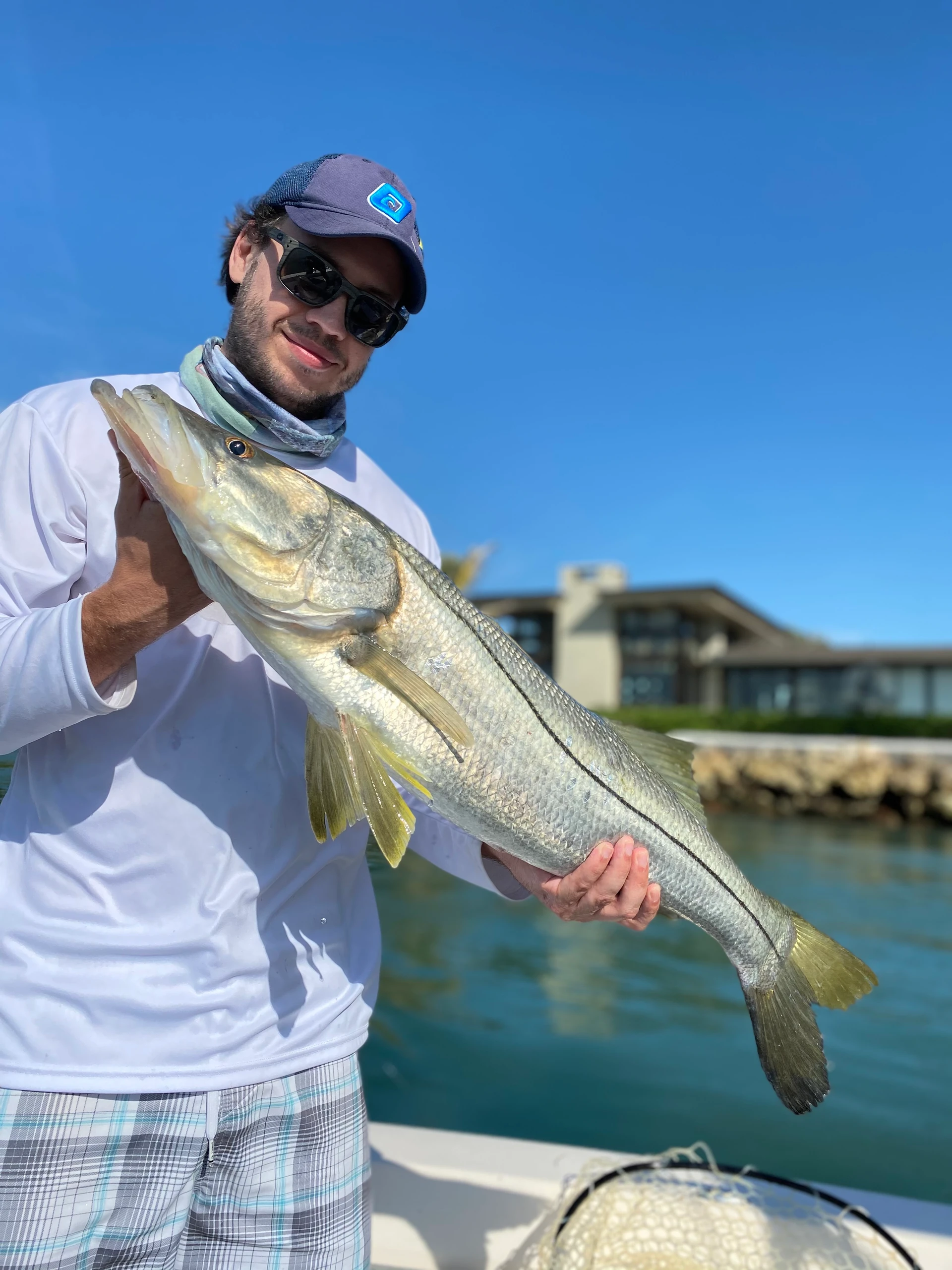 Snook fish caught in Sarasota, Florida