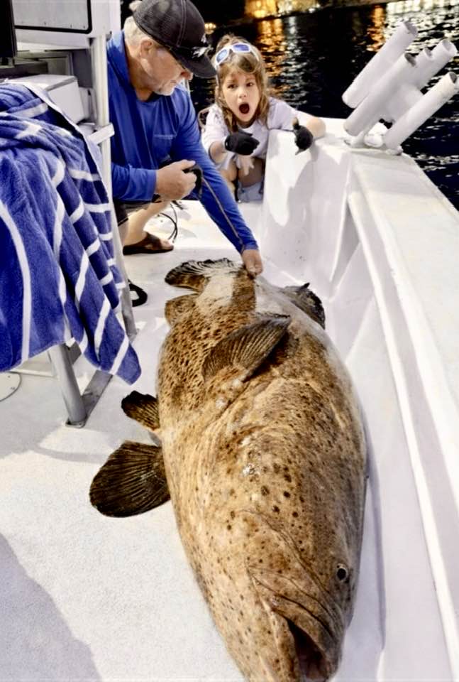 Large Goliath Grouper caught on fishing boat in Pompano Beach FL