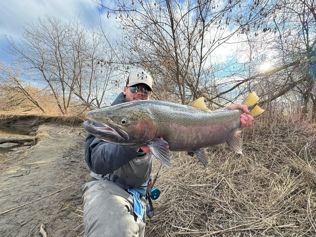 Angler holding a large rainbow trout at Niagara Falls