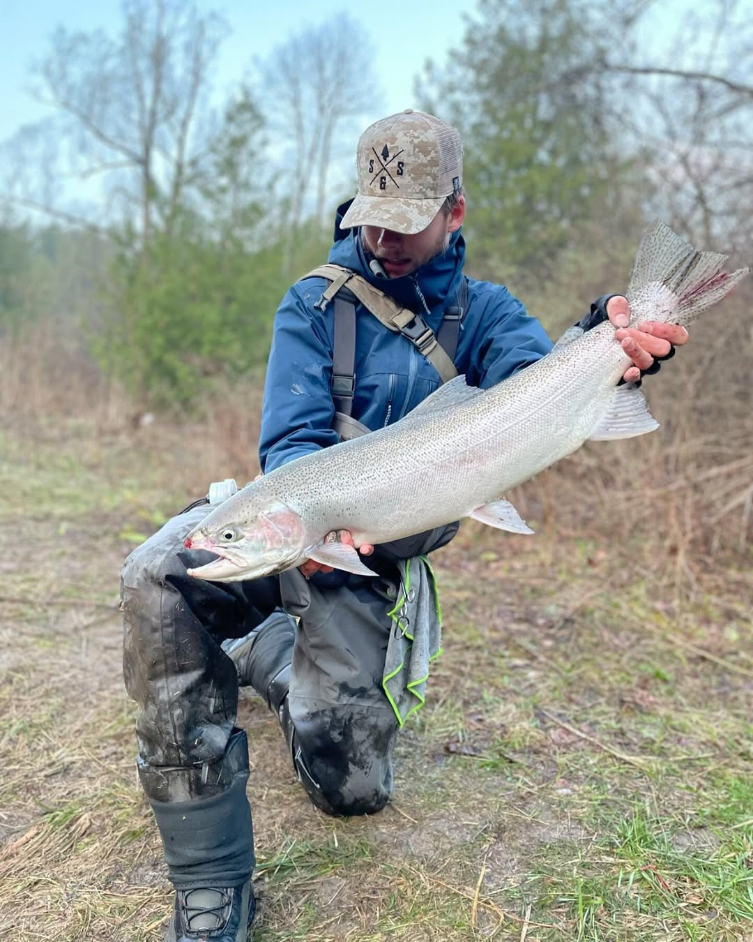A single rainbow trout, a 24-inch fish caught while fishing in Ontario.